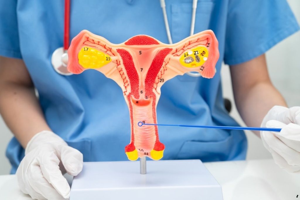 Cirugía Labios Genitales en Cd. Satélite
